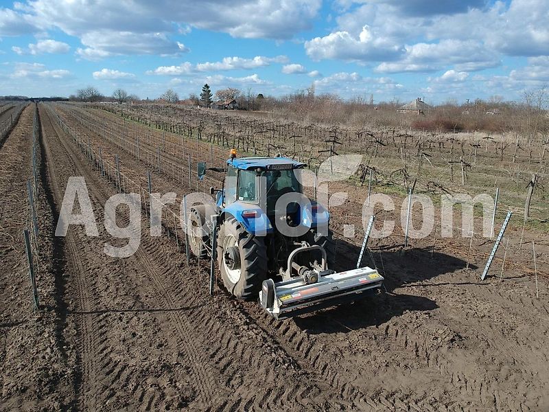 Aardenburg Alpha M / Schlegelmulcher, mulcher 200-220 cm