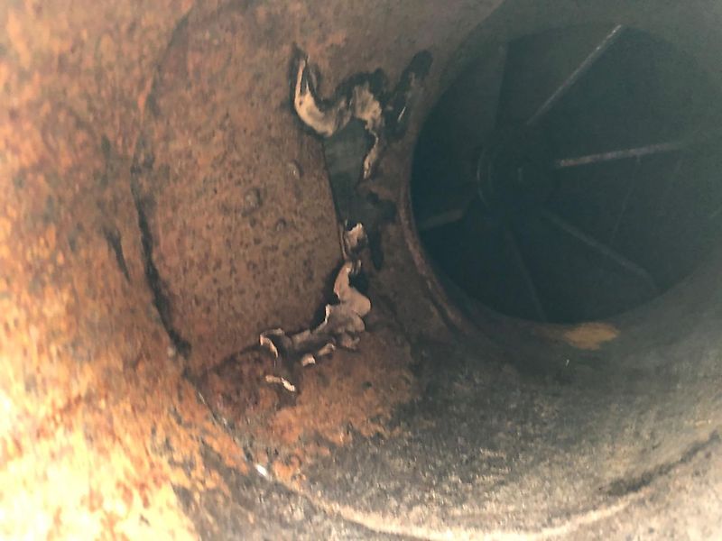 Iseki Iseki GLS 1600 Gras- Laubaufnahme * Hochentleerung * Turbine