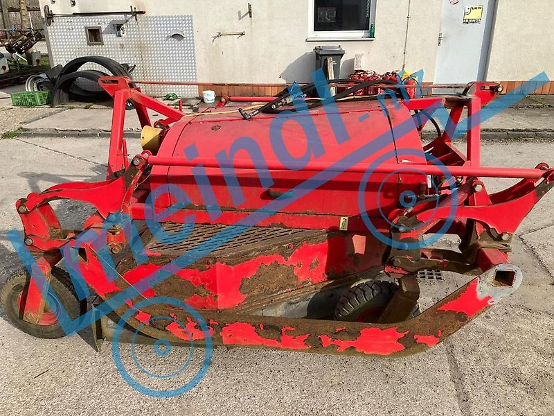 Ruthenberg Zwiebelschloter