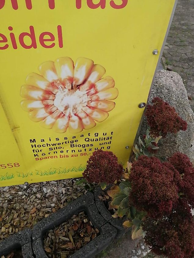 Lemken Lemken Topas 110 Kurzgrubber Frontgrubber Heckgrubber Durchtriebsgrubber Vorgrubber 3m