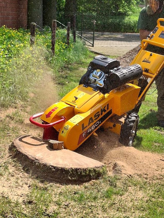 Laski Stubbenfräse Baumstumpffräse Stockfräse Wurzelstockfräse