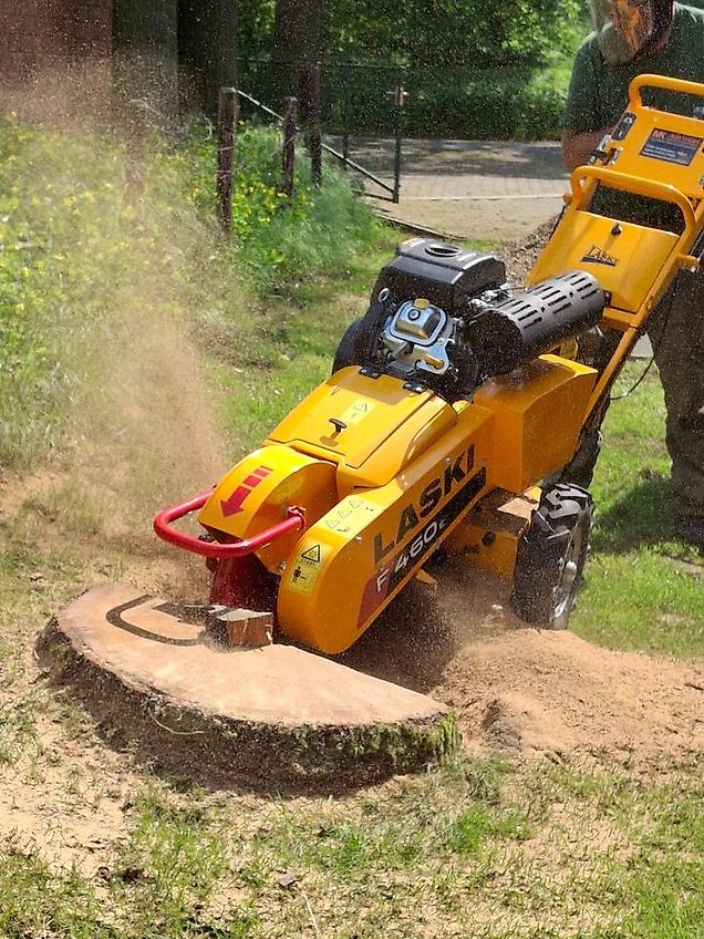 Laski Stubbenfräse Baumstumpffräse Stockfräse Wurzelstockfräse