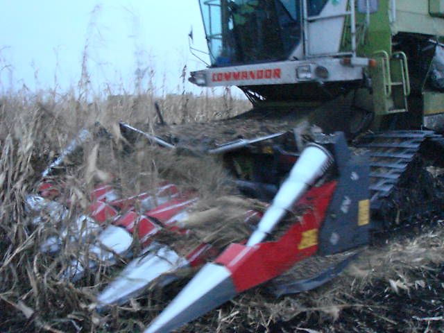 Dominoni SL 978 BG Magnum