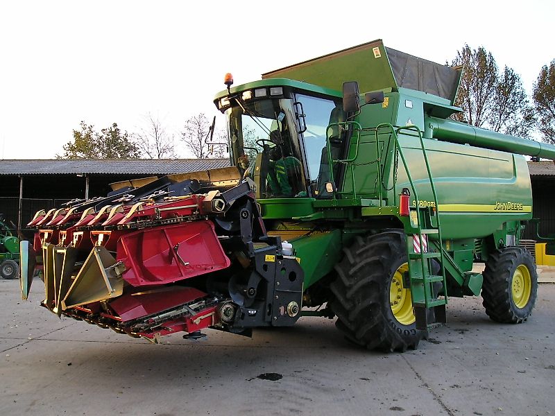 Dominoni SL 978 BG Magnum