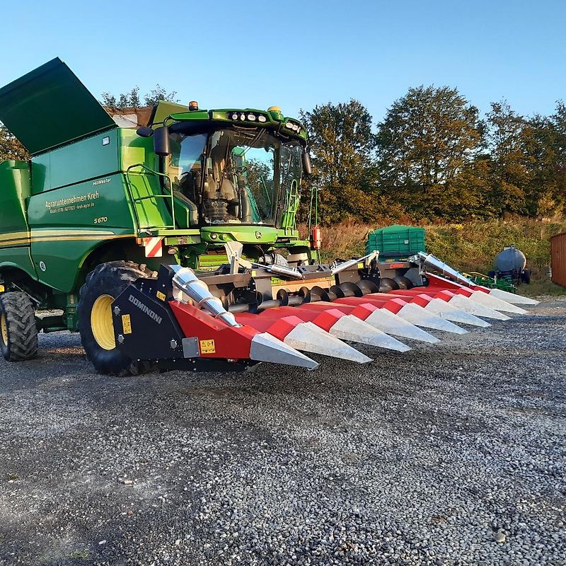 Dominoni SL 978 BG Magnum